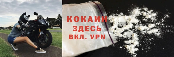 прущие грибы Карталы