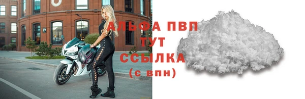 прущие грибы Карталы