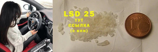 прущие грибы Карталы