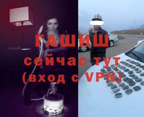 прущие грибы Карталы